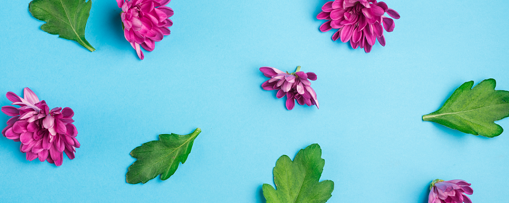 Изофлавоны при климаксе: плюсы и минусы